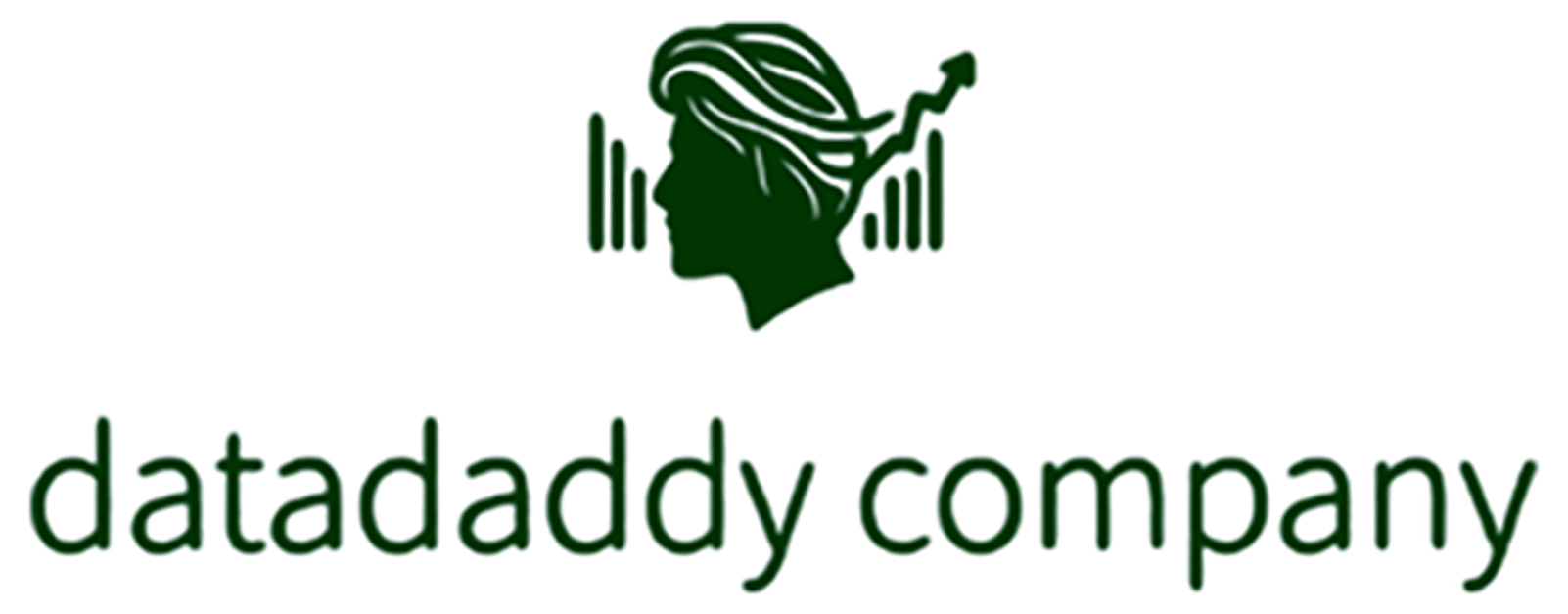 DataDaddy Footer Logo