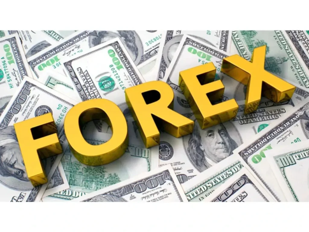 Forex Traders Database