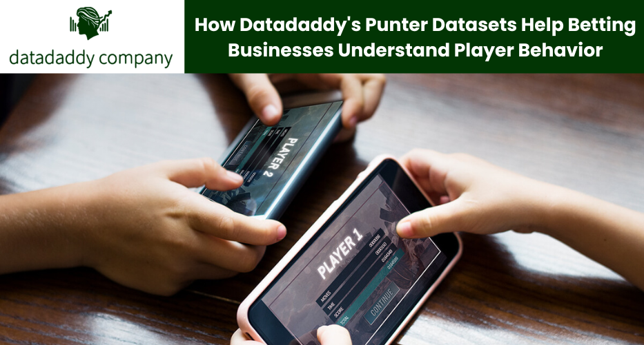 How Datadaddy’s Punter Datasets Help Betting Businesses Understand Player Behavior